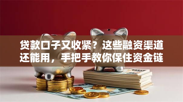 贷款口子又收紧？这些融资渠道还能用，手把手教你保住资金链