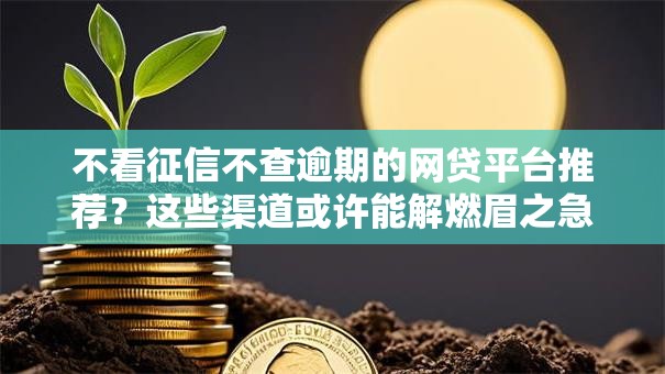 不看征信不查逾期的网贷平台推荐？这些渠道或许能解燃眉之急！