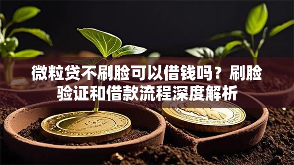 微粒贷不刷脸可以借钱吗？刷脸验证和借款流程深度解析