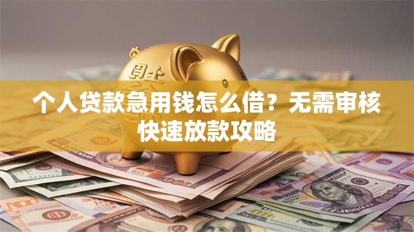 个人贷款急用钱怎么借？无需审核快速放款攻略