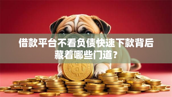 借款平台不看负债快速下款背后藏着哪些门道？