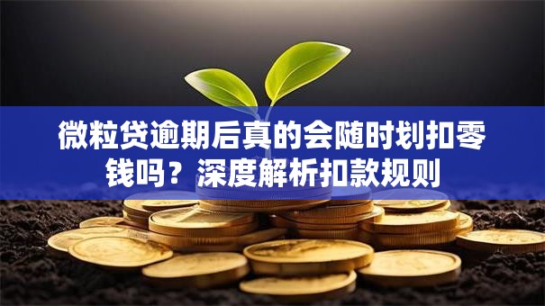微粒贷逾期后真的会随时划扣零钱吗？深度解析扣款规则