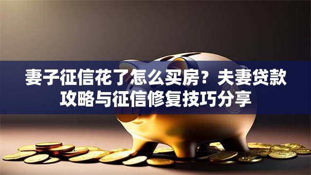 妻子征信花了怎么买房？夫妻贷款攻略与征信修复技巧分享