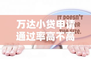 万达小贷申请通过率高不高？真实用户经验深度解析