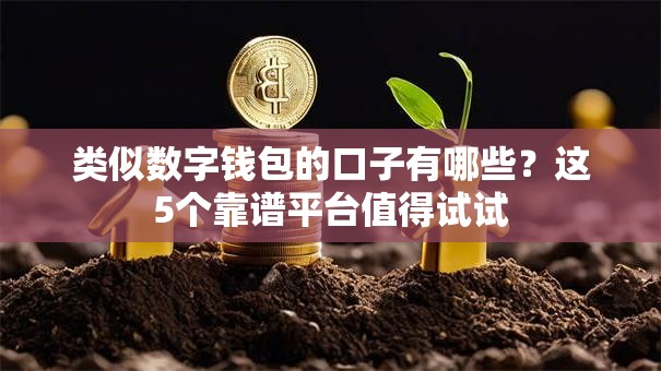 类似数字钱包的口子有哪些？这5个靠谱平台值得试试