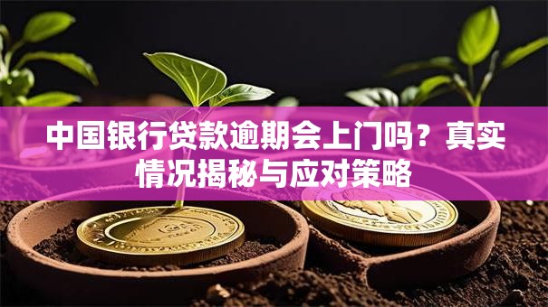 中国银行贷款逾期会上门吗？真实情况揭秘与应对策略