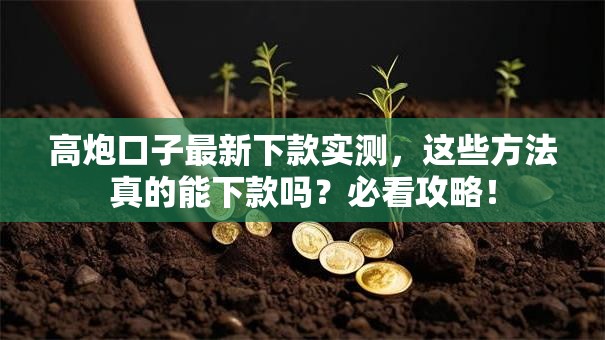 高炮口子最新下款实测，这些方法真的能下款吗？必看攻略！