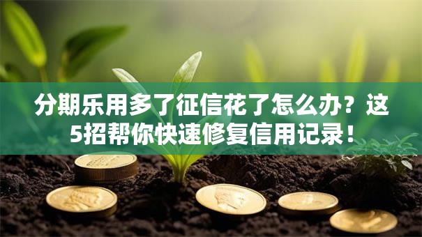 分期乐用多了征信花了怎么办？这5招帮你快速修复信用记录！