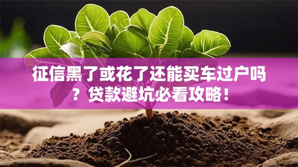 征信黑了或花了还能买车过户吗？贷款避坑必看攻略！