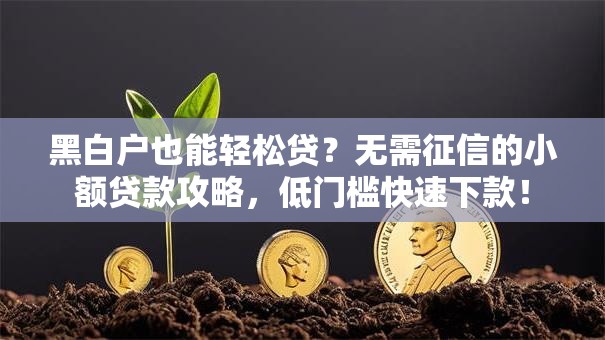 黑白户也能轻松贷？无需征信的小额贷款攻略，低门槛快速下款！