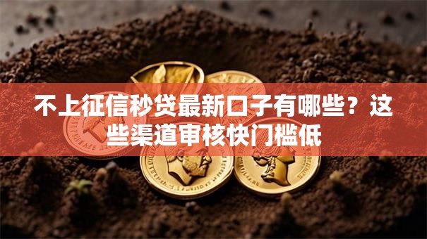 不上征信秒贷最新口子有哪些？这些渠道审核快门槛低