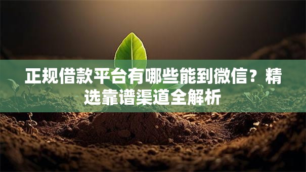 正规借款平台有哪些能到微信？精选靠谱渠道全解析