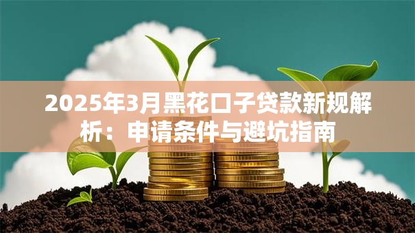 2025年3月黑花口子贷款新规解析：申请条件与避坑指南