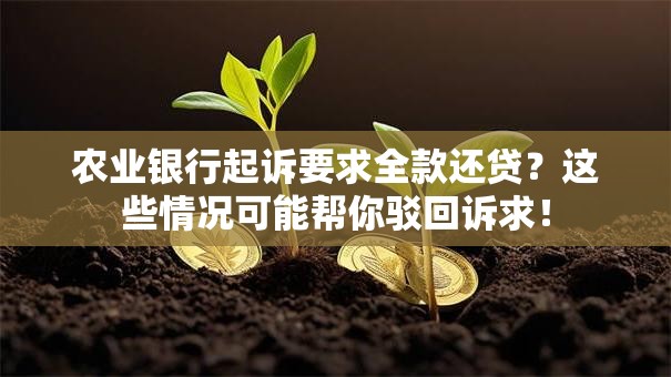 农业银行起诉要求全款还贷？这些情况可能帮你驳回诉求！