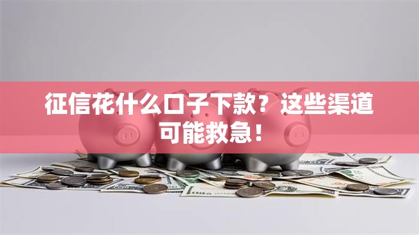 征信花什么口子下款？这些渠道可能救急！