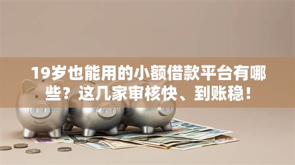 19岁也能用的小额借款平台有哪些？这几家审核快、到账稳！