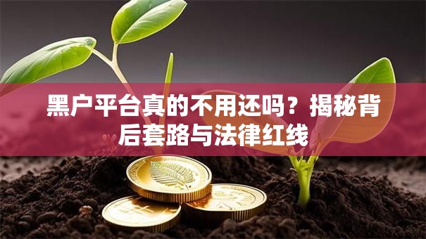 黑户平台真的不用还吗？揭秘背后套路与法律红线