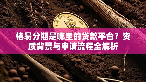 榕易分期是哪里的贷款平台？资质背景与申请流程全解析