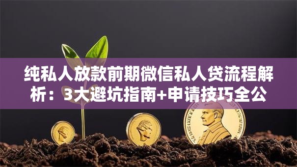 纯私人放款前期微信私人贷流程解析：3大避坑指南+申请技巧全公开