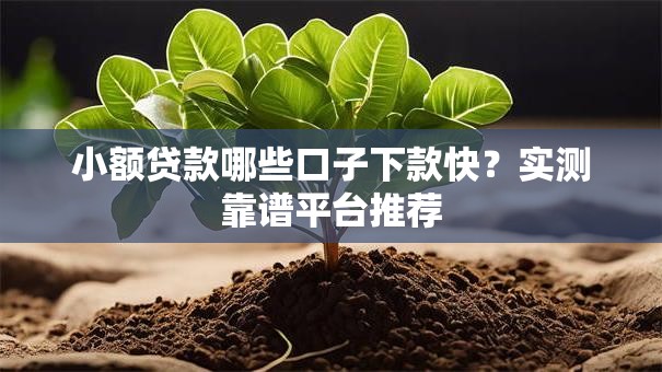 小额贷款哪些口子下款快？实测靠谱平台推荐