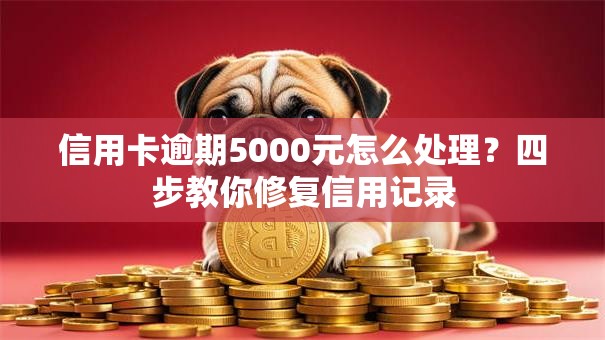 信用卡逾期5000元怎么处理？四步教你修复信用记录
