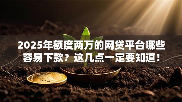 2025年额度两万的网贷平台哪些容易下款？这几点一定要知道！