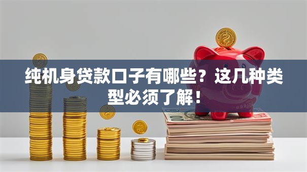 纯机身贷款口子有哪些？这几种类型必须了解！