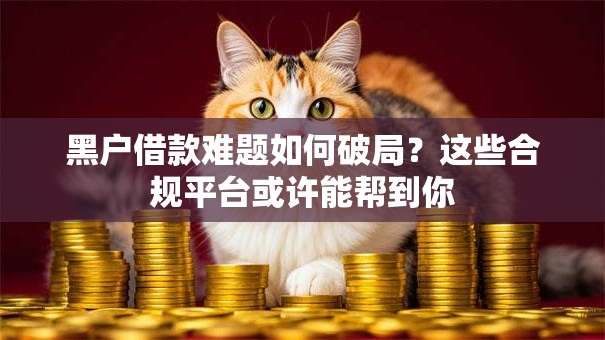 黑户借款难题如何破局？这些合规平台或许能帮到你