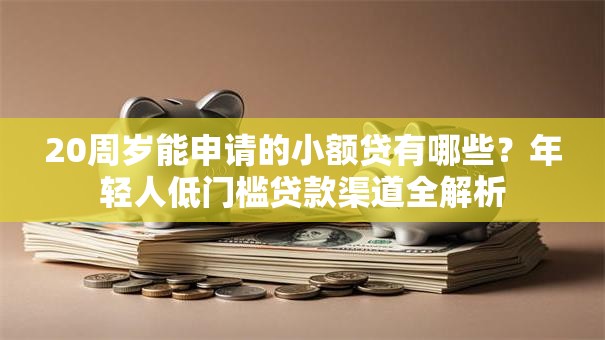20周岁能申请的小额贷有哪些？年轻人低门槛贷款渠道全解析