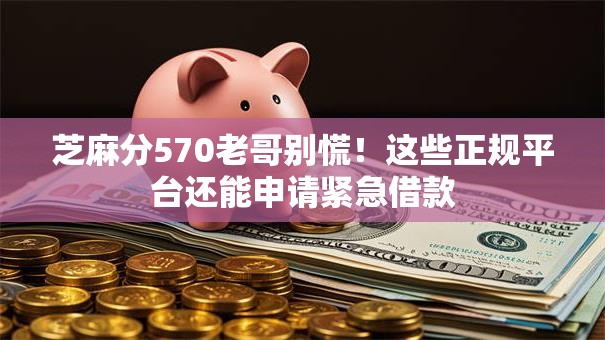 芝麻分570老哥别慌！这些正规平台还能申请紧急借款