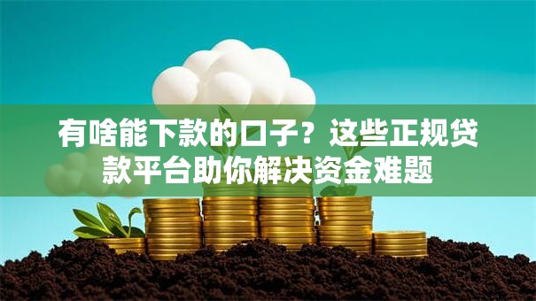 有啥能下款的口子？这些正规贷款平台助你解决资金难题