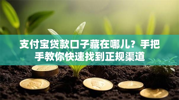 支付宝贷款口子藏在哪儿？手把手教你快速找到正规渠道