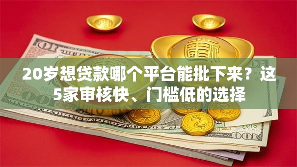 20岁想贷款哪个平台能批下来？这5家审核快、门槛低的选择