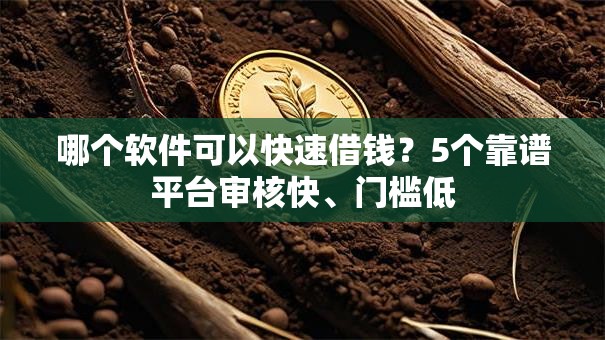 哪个软件可以快速借钱？5个靠谱平台审核快、门槛低