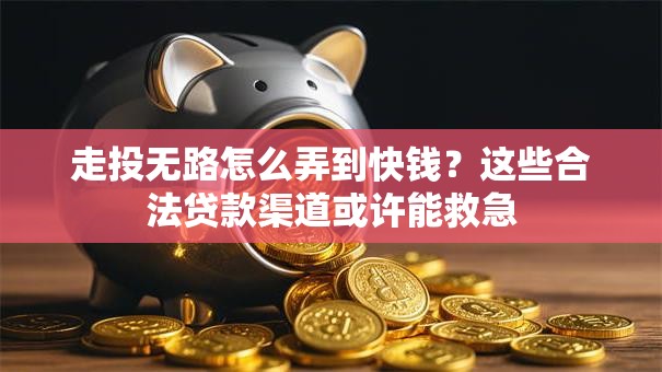 走投无路怎么弄到快钱？这些合法贷款渠道或许能救急