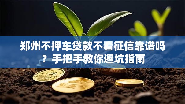 郑州不押车贷款不看征信靠谱吗？手把手教你避坑指南