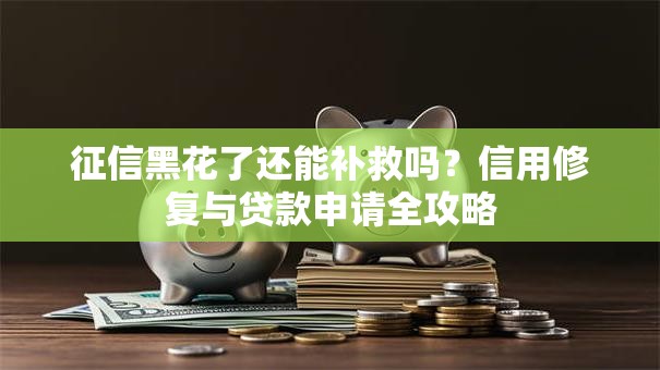 征信黑花了还能补救吗？信用修复与贷款申请全攻略