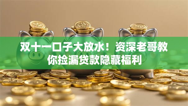 双十一口子大放水！资深老哥教你捡漏贷款隐藏福利