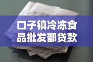 口子镇冷冻食品批发部贷款攻略：选址经营与资金周转全解析