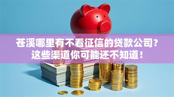 苍溪哪里有不看征信的贷款公司？这些渠道你可能还不知道！