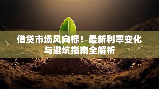 借贷市场风向标！最新利率变化与避坑指南全解析