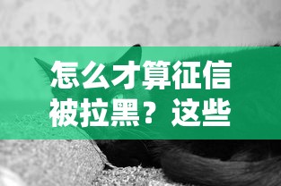 怎么才算征信被拉黑？这些表现要注意