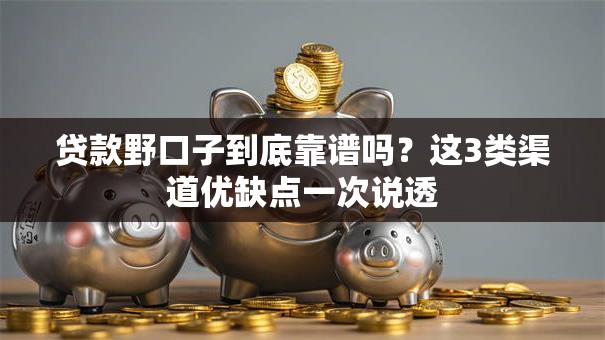 贷款野口子到底靠谱吗？这3类渠道优缺点一次说透