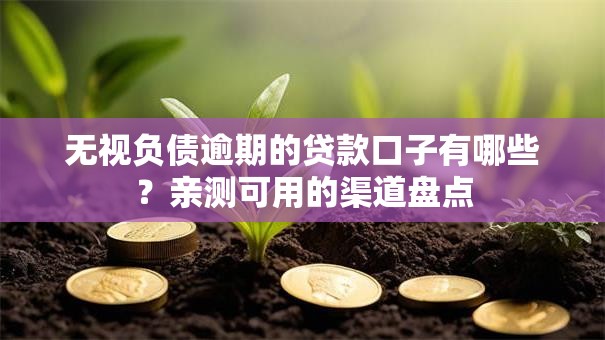 无视负债逾期的贷款口子有哪些？亲测可用的渠道盘点