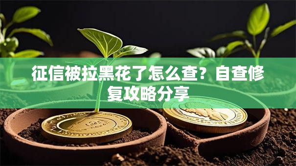 征信被拉黑花了怎么查？自查修复攻略分享
