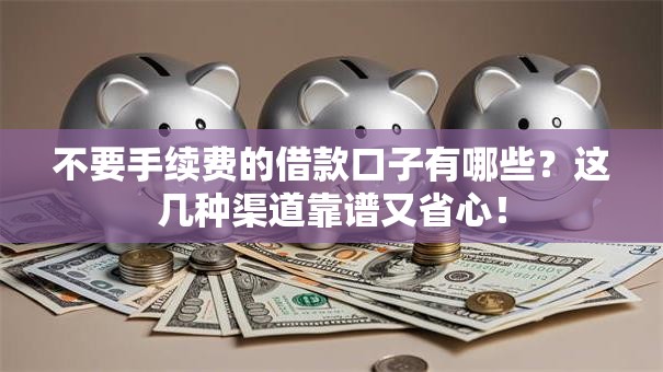 不要手续费的借款口子有哪些？这几种渠道靠谱又省心！