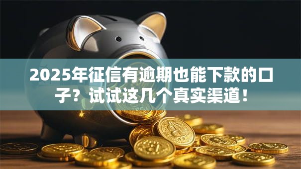 2025年征信有逾期也能下款的口子？试试这几个真实渠道！