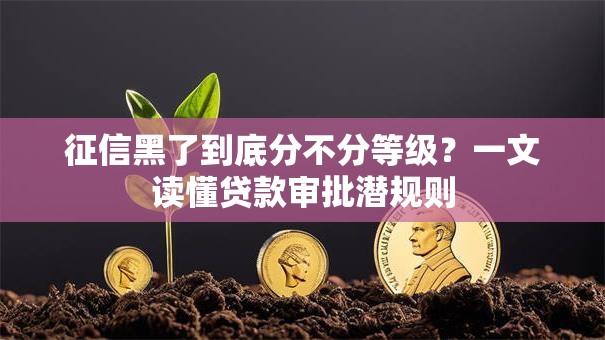 征信黑了到底分不分等级？一文读懂贷款审批潜规则