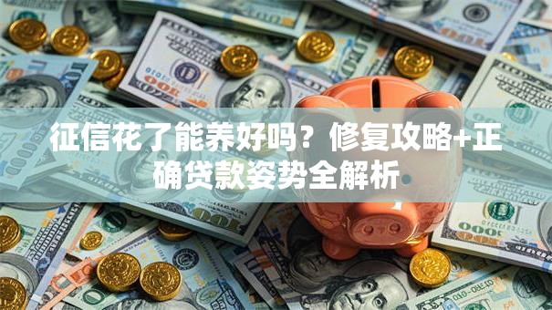 征信花了能养好吗？修复攻略+正确贷款姿势全解析