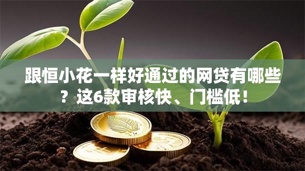 跟恒小花一样好通过的网贷有哪些？这6款审核快、门槛低！